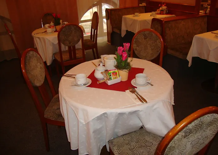 Bajazzo Hotel Viena